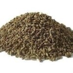 Oregano 100gm